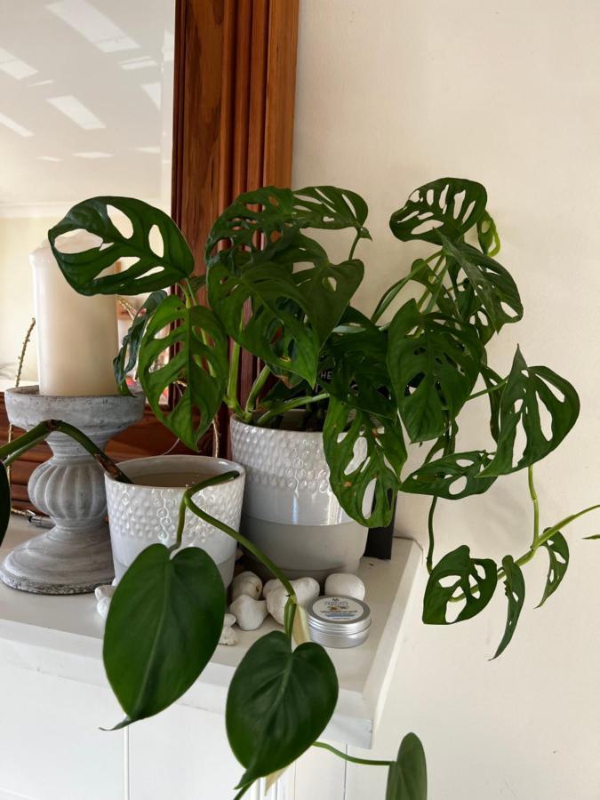 Flavian House Bed & Breakfast Chichester Eksteriør bilde